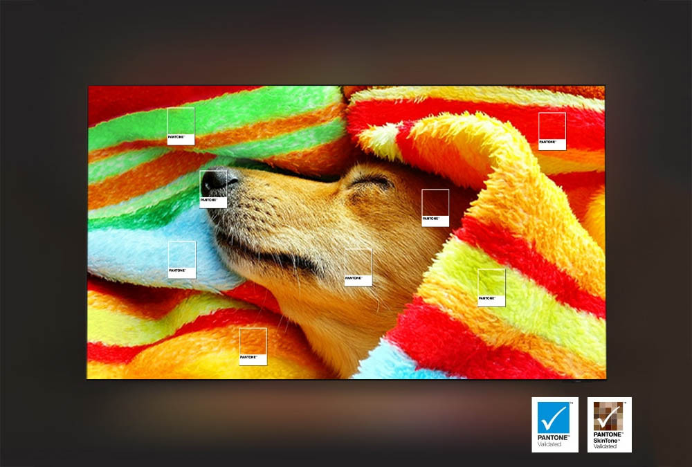 Smart Tivi Samsung OLED 4K Vision AI-màu sắc Pantone