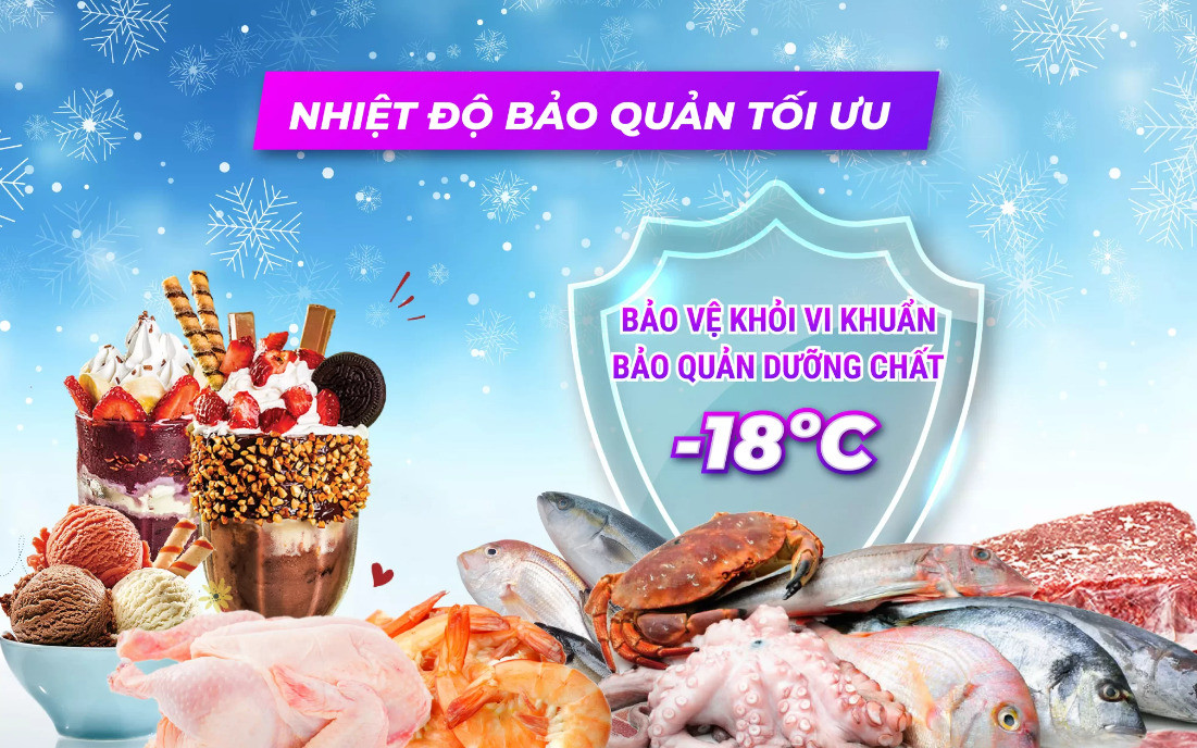 Tủ đông Sanaky 750L VH-1099KA