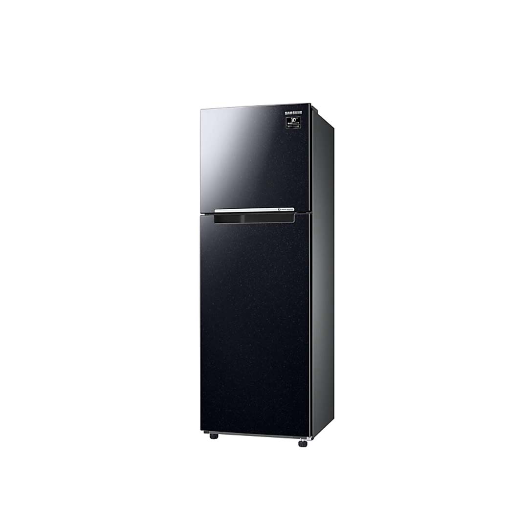 Tủ lạnh Samsung Inverter  264 Lít RT25M4032BU/SV (2 Cánh)