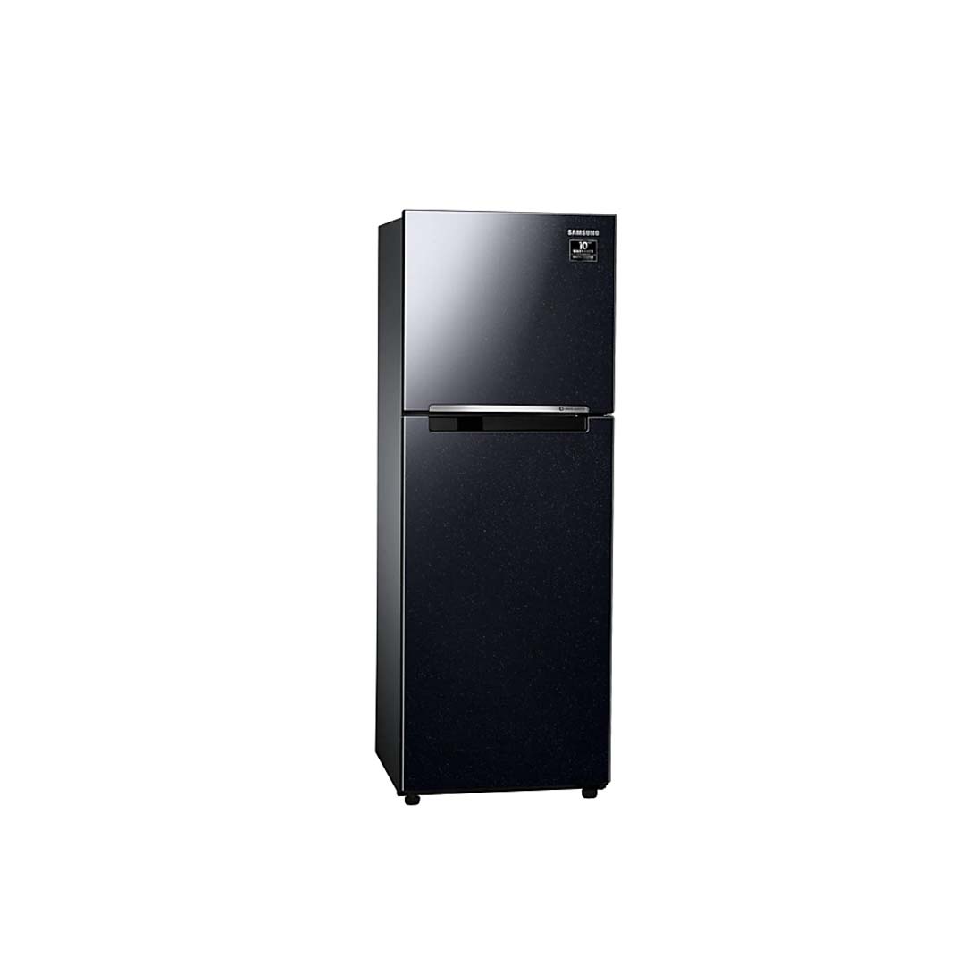 Tủ Lạnh Samsung Inverter  243 Lít RT22M4032BU/SV (2 Cánh)