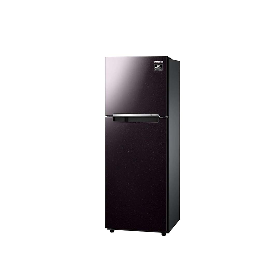 Tủ Lạnh Samsung Inverter  243 Lít RT22M4032BY/SV (2 Cánh)