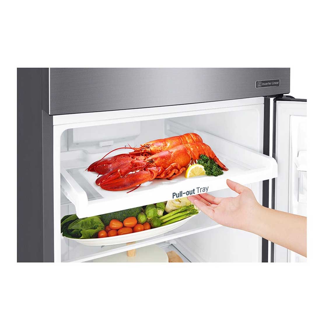 Tủ lạnh LG Inverter 272 Lít GN-M255PS (2 Cánh)