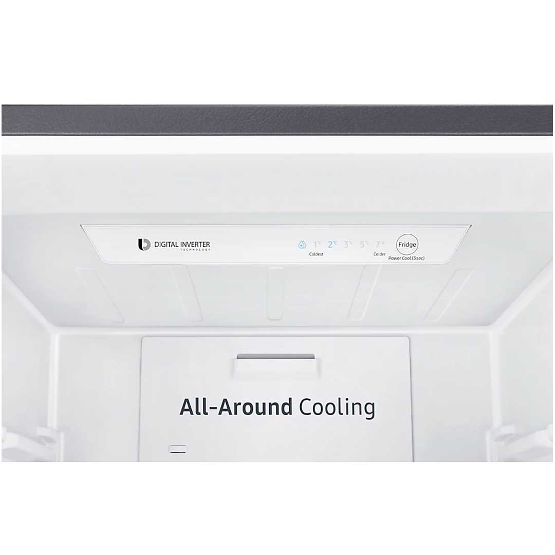 Tủ lạnh Samsung Inverter 310 Lít RB30N4010S8/SV (2 Cánh)