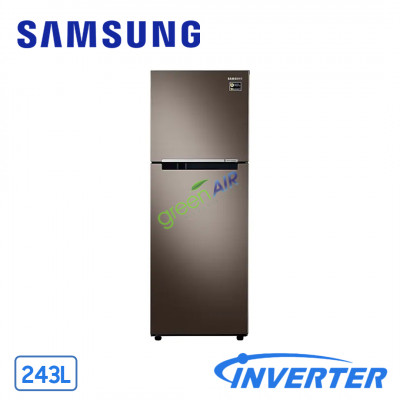 Tủ Lạnh Samsung Inverter  243 Lít RT22M4040DX/SV (2 Cánh)